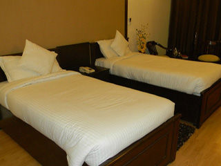 Hotel Shyama International Nueva Delhi Exterior foto